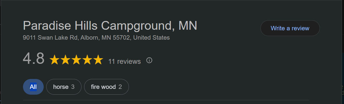 Google Reviews